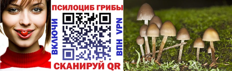 Галлюциногенные грибы Cubensis  kraken как зайти  Лянтор 